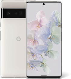 Google Pixel 6 Pro Hüllen