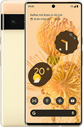 Google Pixel 6 Hüllen