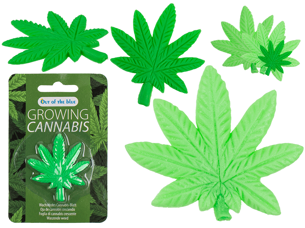 Feuille de cannabis en plastique qui pousse