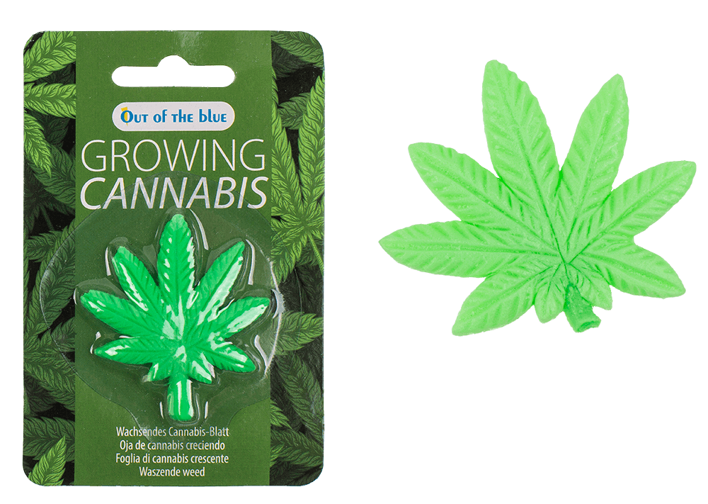 Feuille de cannabis en plastique qui pousse