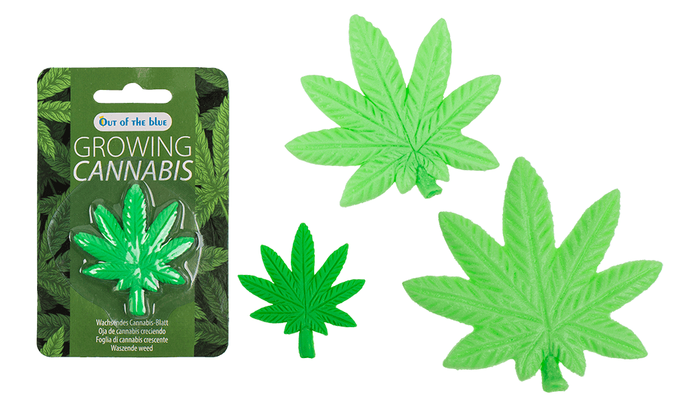 Feuille de cannabis en plastique qui pousse