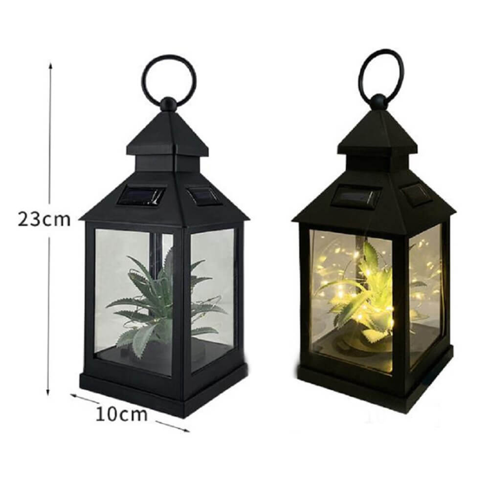 Zwei schwarze Solar-Tischlampen-LED-Laternen von Cover-Discount mit Glasseiten halten jeweils eine Pflanze; Dank innovativer Solartechnik erstrahlt eine Laterne mit warmweißem Licht.
