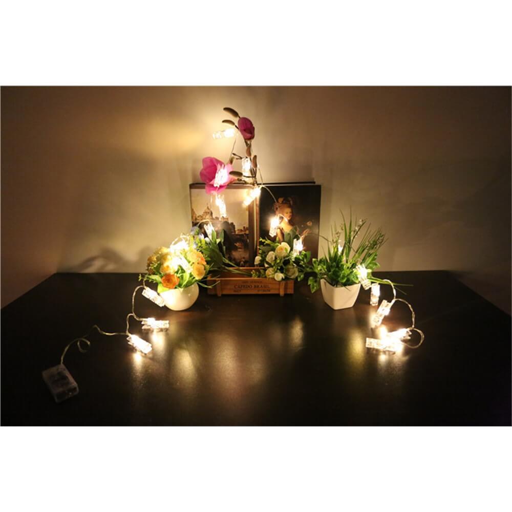 Die Cover-Discount Lichterkette LED Fotoklammer, batteriebetrieben, beleuchtet auf einem dunklen Tisch arrangierte Topfblumen und gerahmte Fotos.