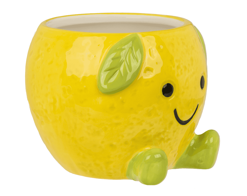 Kawaii Lemon Mug β Cute Dolomite Cup (385 ml)