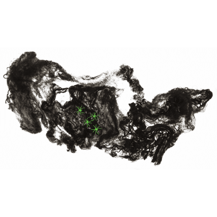 Toile d'araignée Glow in the Dark incl. 4 araignées