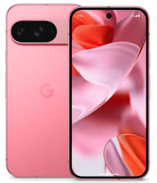 Google Pixel 9 / 9 Pro Hüllen