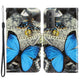 cover butterfly blue
