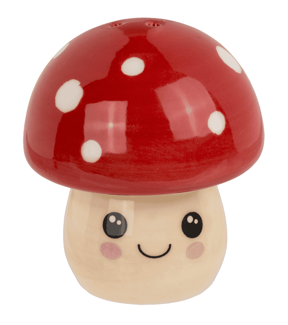 Salière & poivrière champignon kawaii – Joli set de 2 en dolomite