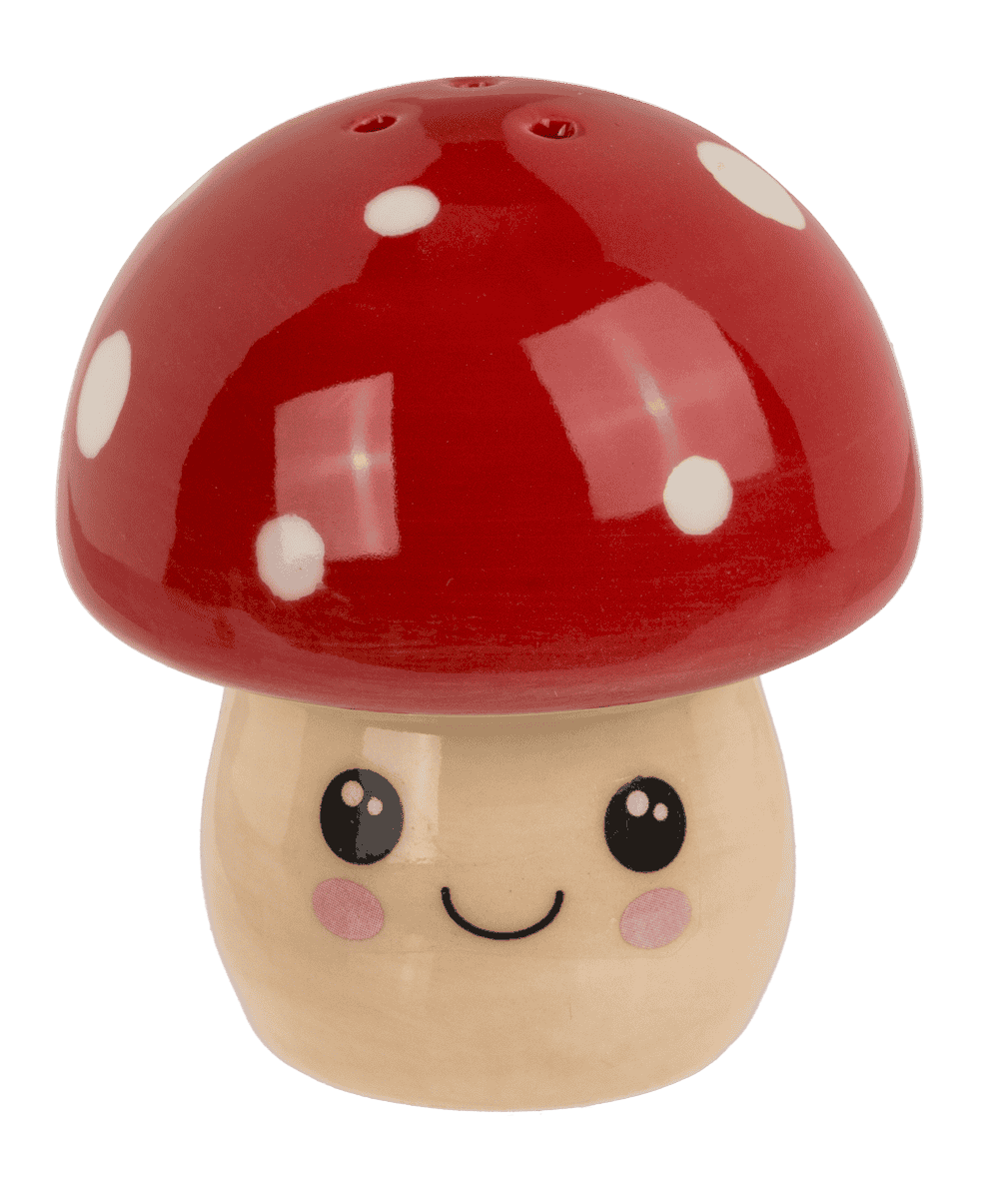 Salière & poivrière champignon kawaii – Joli set de 2 en dolomite
