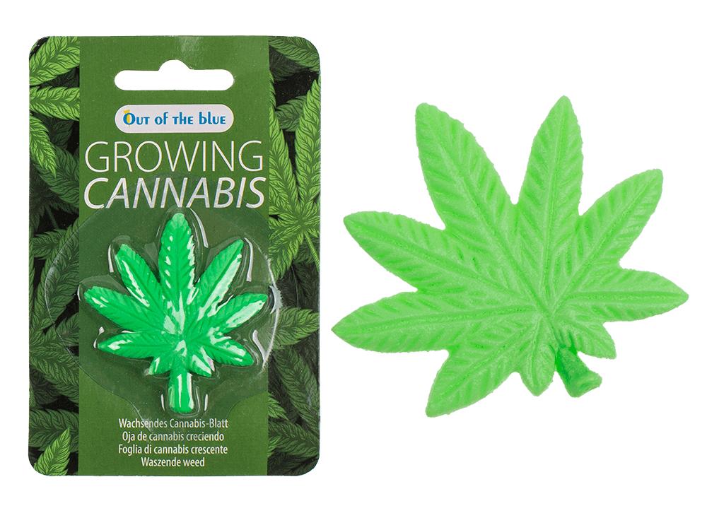 Feuille de cannabis en plastique qui pousse