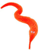 wormli worm magic worm orange