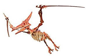 #farbe_Dinosaurier Pteranodon